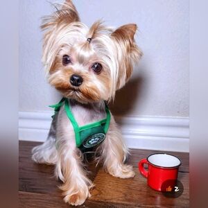 New Dog/Cat Pet Barrista Coffee/Tea Apron Outfit Size M